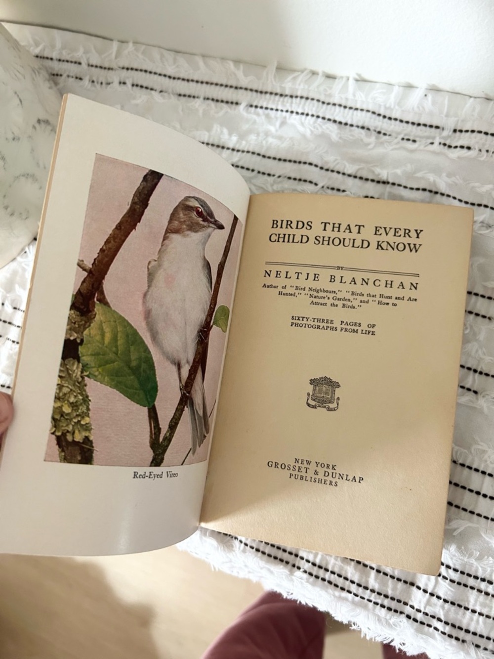 Antique 1907 “Birds Every Child Should Know” Neltje Blanchan Hardcover Book - Picture 7 of 10